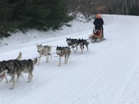 IMG_6701.jpg