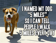 5Mile.png