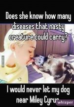 dog.jpg