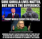 HillaryAndTheGorilla.png