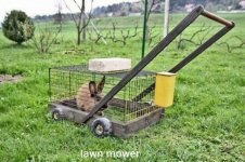 bunny mower.jpg