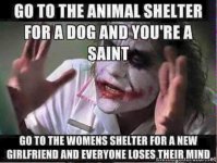 GoToAnAnimalShelter.jpg