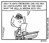 OnlyInMathProblems.jpg
