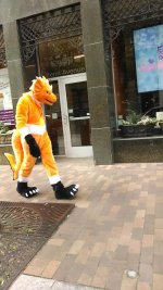 furry12014.jpg
