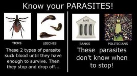 parasites.jpg