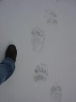 DSC00023.JPG