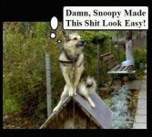 DamnSnoopy.jpg