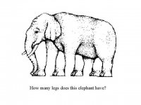 Elephant Legs (Small).jpg