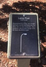 I-love-nature-parks.jpg