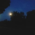 20180528_214055.jpg