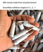 308RoundsMadeOfPlasticStraws.jpg