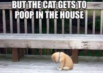 17591d1495661172-sign-posters-clever-sayings-poop.jpg