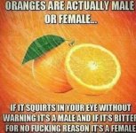 oranges.jpg