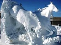 snow horses.jpg