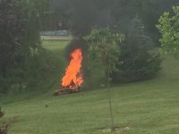 ScagOnFire2.jpg