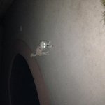 IMG_8755.jpg