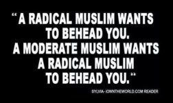 RadicalMuslimVSModerateMuslim.jpg