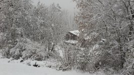 snow.jpg