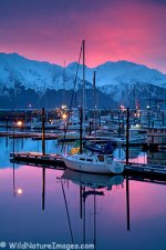 seward-boat-harbor.jpg