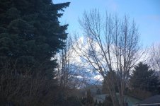 DSC_0268.jpg