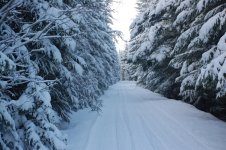 DSC_0277.jpg