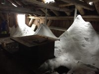 IMG_5811.jpg