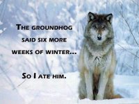 image023.jpg