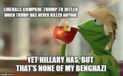 LIB KERMIT9b845dba74b01625e302c4862a.jpg