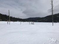IMG_7418.jpg