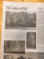 DIR The-colors-of-fall.jpg