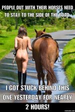 horse.jpg