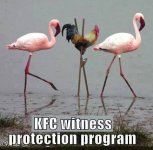 KFCWitnessProtectionProgram.jpg