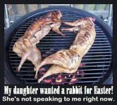 MyDaughterWantedRabbitForEaster.jpg
