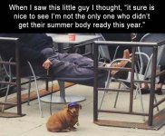 Pet z-funny-185.jpg