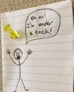 TidbitsAndGroaners1.jpg