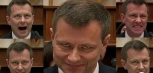 STRZOK 20180713_113916.png