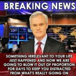 the msm.jpg