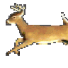 Deerlope